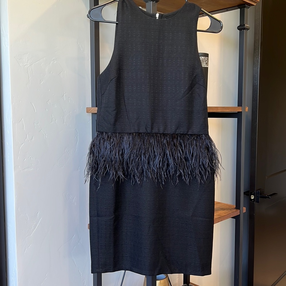 NWT 🖤 LBD Endless Rose black feather mini dress. Size small